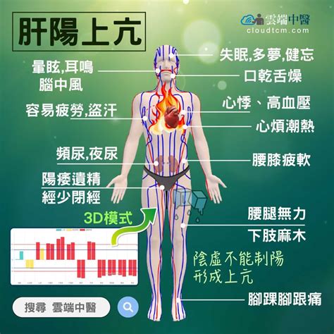 陽上意思